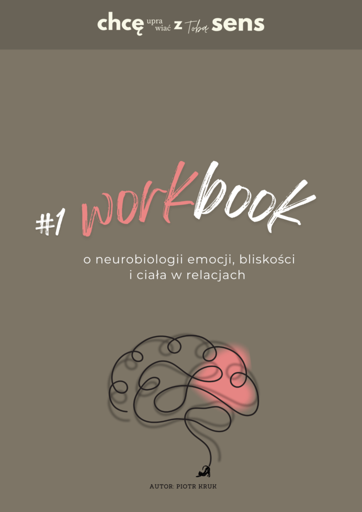 Chcę uprawiać z Tobą sens #1 workbook - okładka